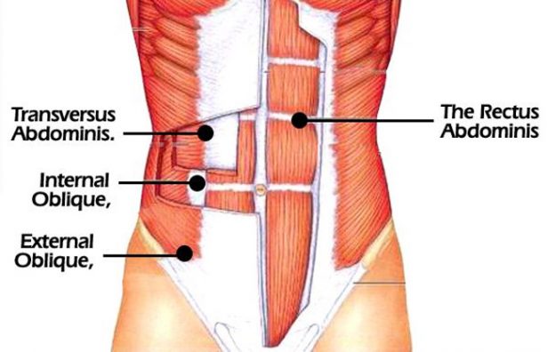 diagrama de abdominales